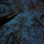 Thumbnail of post image 031